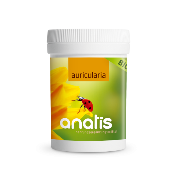 Auricularia Pilz BIO 90 Kps