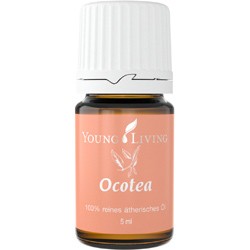 Ocotea 5 ml